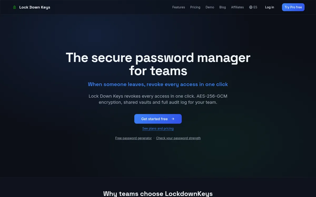 Captura de la web de LockdownKeys